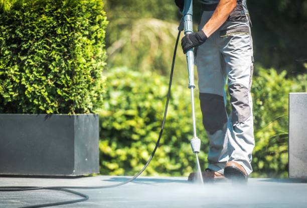 Best Graffiti Removal  in North River Shores, FL
